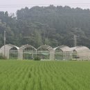 (주)강선팜 이미지