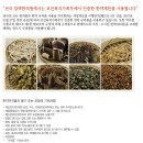 일맥한의원 이미지