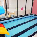 비바풀빌라 이미지