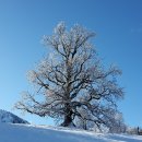 경희소나무한의원 이미지