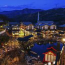 25.5.1(목)にじもり무지개 숲 야경촬영 이미지