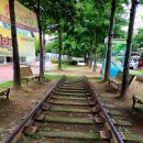 대구선동촌공원3 이미지