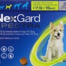 도담동물약국 이미지