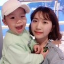 달콤왕가탕후루송도학원가점 이미지