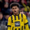 코벨코리아 이미지