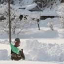 상시동2리 이미지