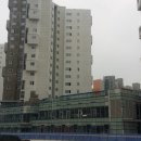 오벨리스크 이미지