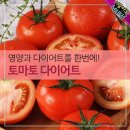 영양과 다이어트를 한번에! 토마토 다이어트 이미지