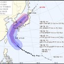 제주와요 이미지