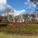 부산시민공원 이미지