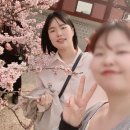 삼성가스(주) | 강북삼성병원 다인실과 1인실 모두 이용한 제왕절개 출산 후기