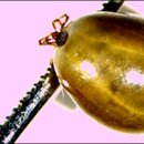 전라남도보건환경연구원 이미지