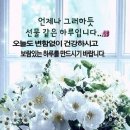 천국양행 이미지
