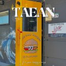 63 | 충남 태안 맛집 추천 햄버거 내돈내산 파도리 수제버거 맛집 인생버거
