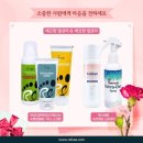 레푸스앤두두뷰티 이미지