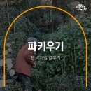피그리프 스튜디오