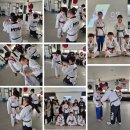 여명태권도장 이미지