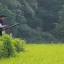 이혁농장 이미지