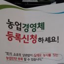 강화여고 입구