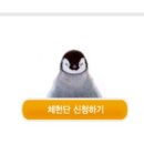 다나크린 이미지