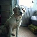 왕자농장 이미지