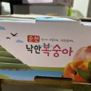 낙안청과 이미지