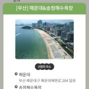 송정관광안내소 이미지