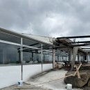 곰막식당 제주/<b>곰막</b><b>식당</b> 회국수 전복죽 맛집 내돈내산 후기