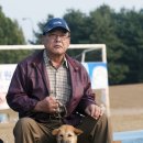 애견코리아 이미지