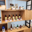 커들리독 이미지