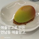 세빠띠