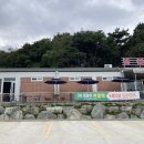 아마존 한증막 이미지