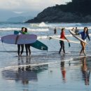 고흥바다장어 이미지