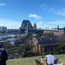 달링딜리버리 이미지