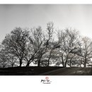 별빛뜨락 이미지