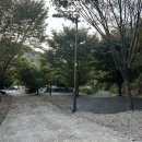 웅이네 캠핑장 이미지