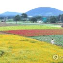 성읍리-23 이미지