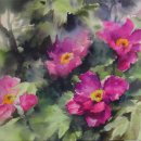 모란이피기까지 이미지