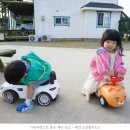 태안 오션힐 리조트