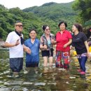 벚꽃길민박 이미지