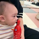 배꼽친구 | 동래 롯데백화점 문화센터 프리미엄 배꼽친구 후기