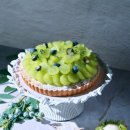 샤인트래블 이미지