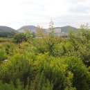 용원농장 이미지