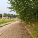 장호중학교 이미지