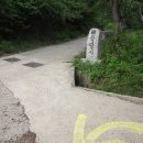공설운동장 입구 5 Daum카페