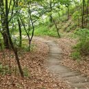 구봉산셀프주유소 이미지