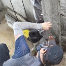 가람약품 이미지