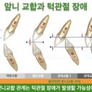 조앤윤치과의원 이미지