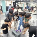 목동 태권도장 이미지