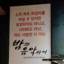 춤포장나이트